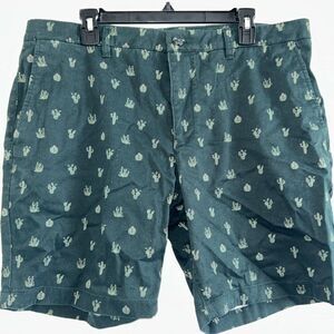 Hawker Rye Men's Chino Shorts 38x9 Cactus Print All Over, Dark Green Flat Front